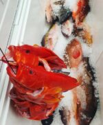 [Local Fish] - Order of Mixed Fillet - Image 2